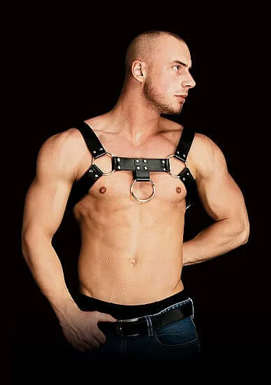 Ouch Costas Solid Structure 2 Black Harness SHOTS AMERICA Anal