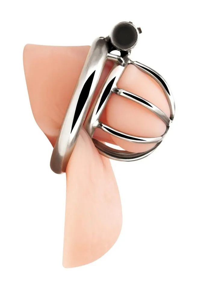 Male Sex Toys Blue Line CandB Gear Blue Line Little Cock Chastity Cage Stainless