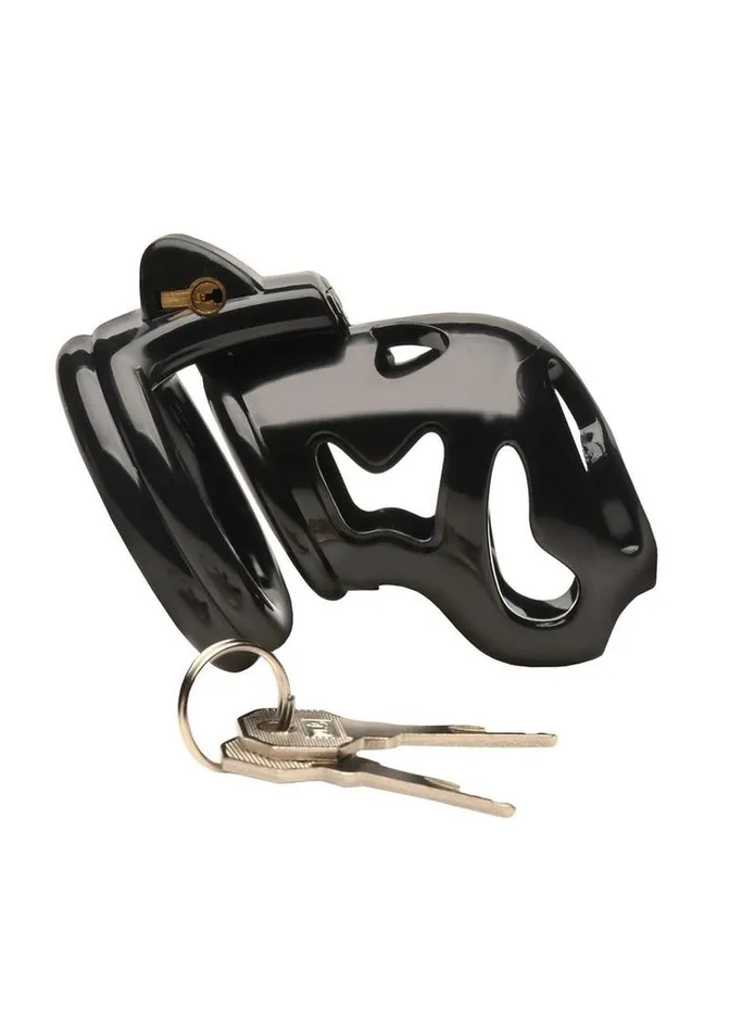 Male Sex Toys Master Series Master Series Hard Stop Double Ring Chastity Cage