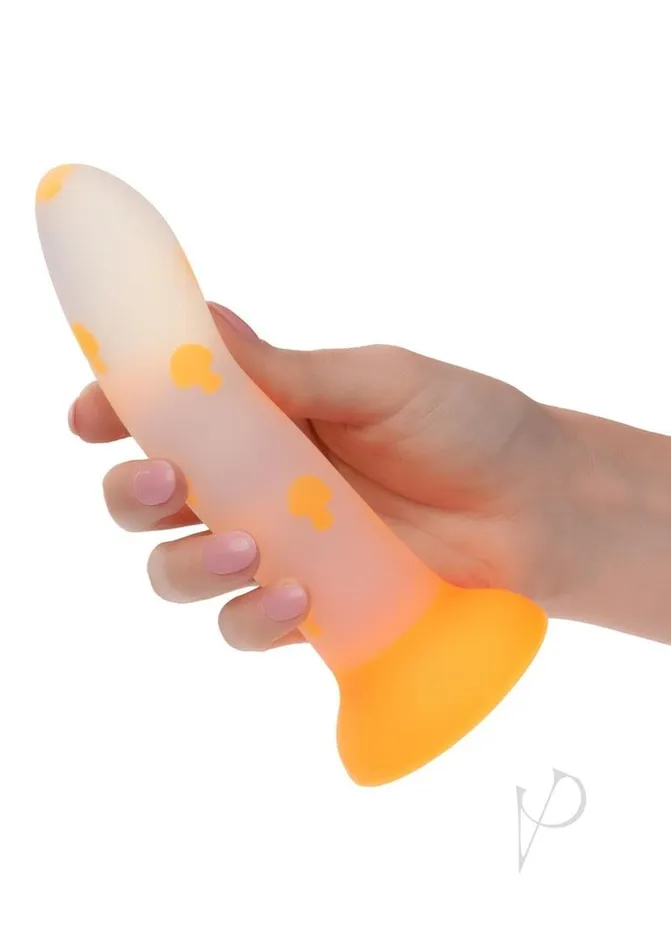 Dildos Glow Stick Mushroom Dildo Orange California Exotic Novelties Llc